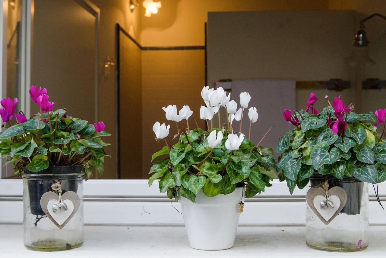 フェラーラ Il Bagattino Bed & Breakfast エクステリア 写真